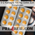5Gm Kamagra 100Mg Oral Jelly levitra2